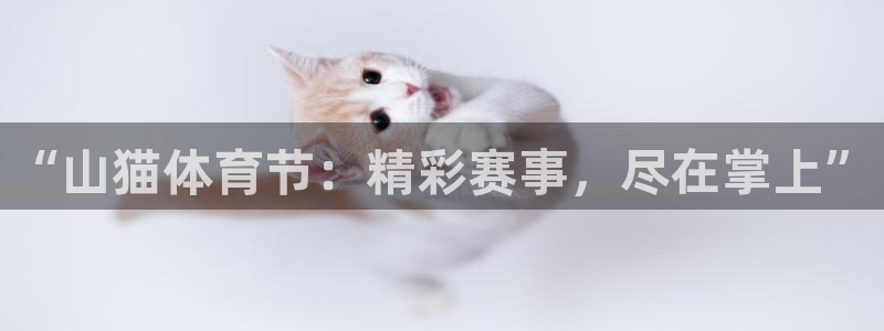 “山猫体育节：精彩赛事，尽在掌上”