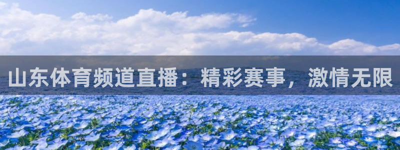 山东体育频道直播：精彩赛事，激情无限
