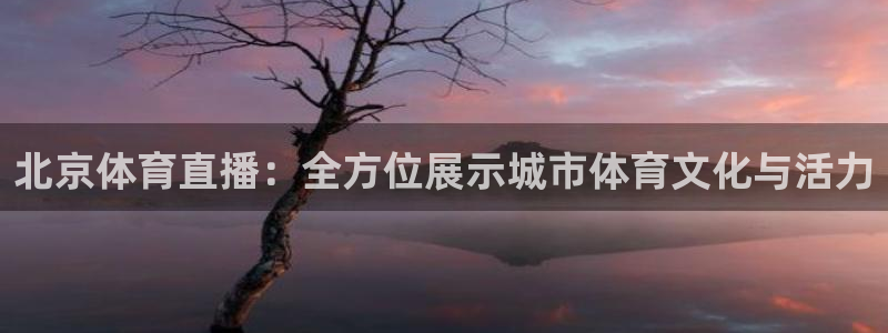北京体育直播：全方位展示城市体育文化与活力