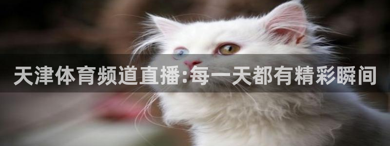 天津体育频道直播:每一天都有精彩瞬间